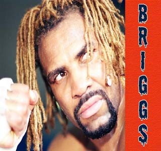 Briggs Added to 