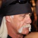Hulk Hogan Likes MMA