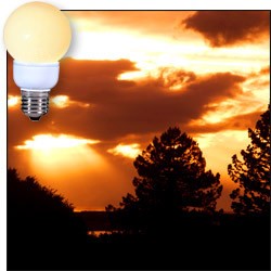 Light Bulbs Everywhere-Nor any Light to be Had!